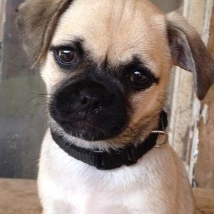 Meet your Posher, Scott